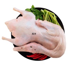 新鲜冷冻白条鸭25.6斤8只装每只3.2斤樱桃谷型烤鸭盐水鸭包邮