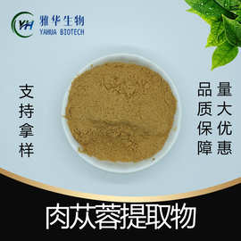 肉苁蓉提取物 雅华生物 肉苁蓉粉 水溶性 肉苁蓉萃取 浸膏粉