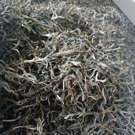 普洱茶;红茶;白茶