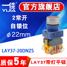 一佳自锁平钮带灯双常开LAY37-20DNZS两控启动停止开关22mm