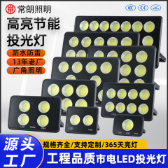 COB防水户外投光灯高亮强光泛光灯大功率露营灯探照灯庭院野营灯