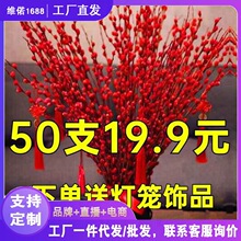 红色花银柳干花真花鲜枝年宵花水培花卉室内客厅摆放装饰代发