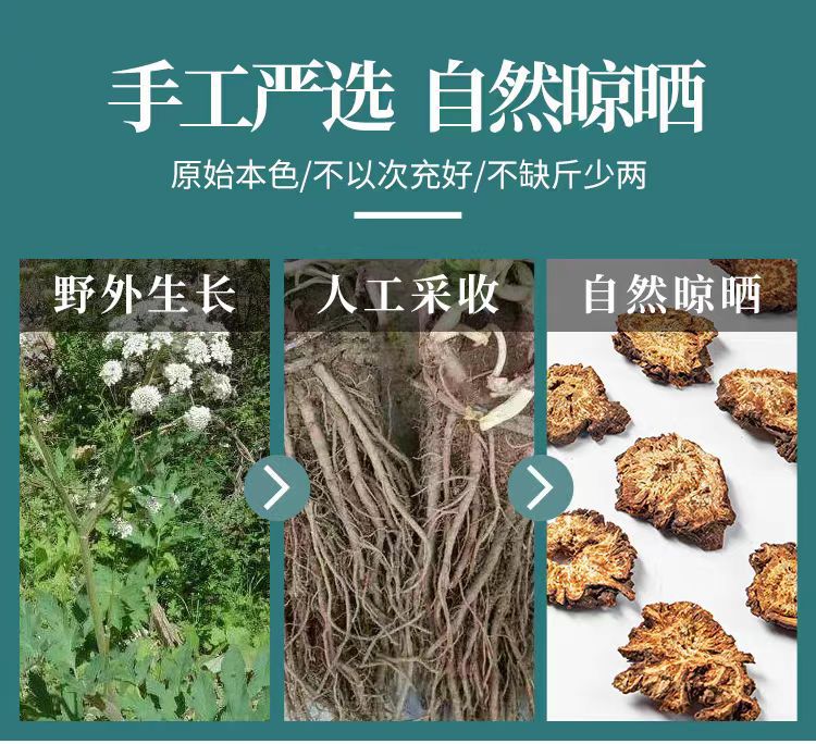 Qiang Huo Powder (Notopterygium incisum) — Sichuan Dried Rhizome Powder, 500g key features