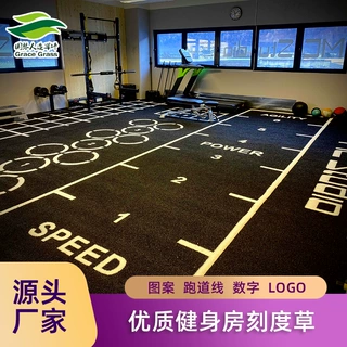 优质健身房刻度雪橇人造草坪草皮健身工作室数字logo图案环保耐用