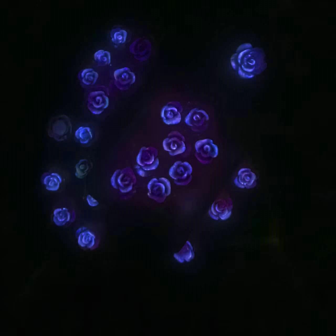 大小夜光光变玫瑰花夏天热卖美甲饰品外贸出口内销地摊都可以00