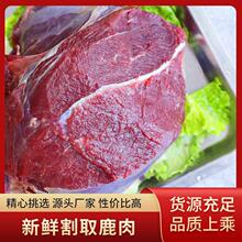 ���l�r¹����ֻ¹��¹�^����¹�l�r¹�����l�F؛¹�Ź�¹����