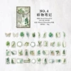 Botanical notes