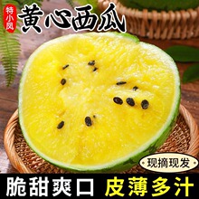 ��С�P�����S���Sȿ���Ϯ������rˮ������������S���������