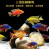 3 6-7cm high-quality sea bream (3 varieties)