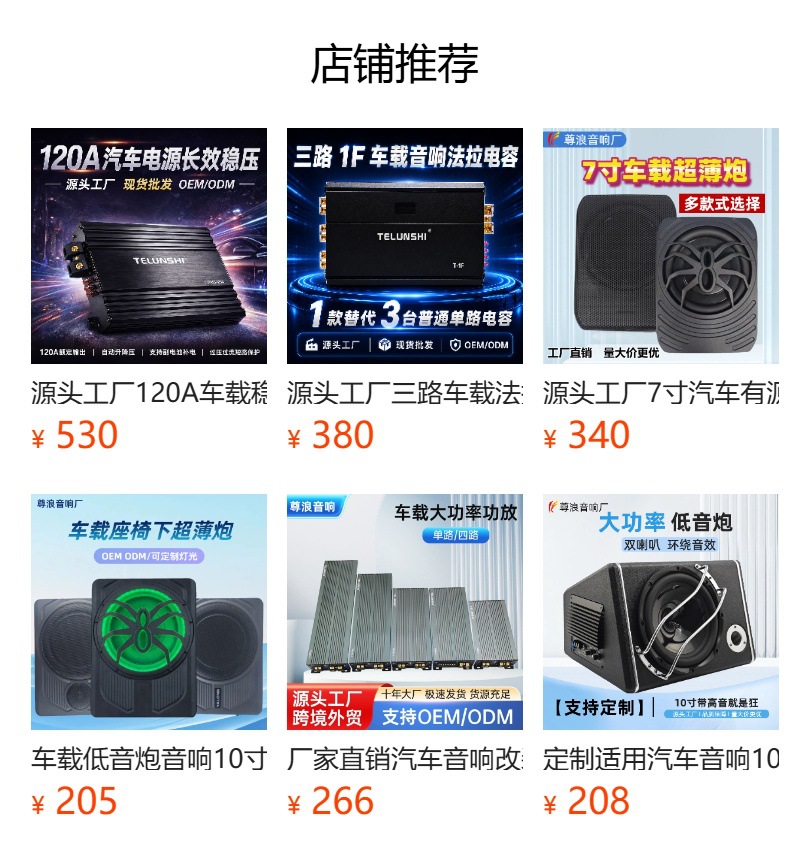 Source Factory 10inch Car Subwoofer 12V Ultra-Thin Active Under-Seat Pure Bass Speaker Modification Oem in Stock