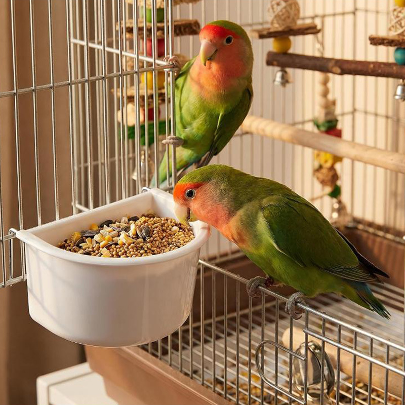 Cross-border new bird feeding basin, parrot feeding tool, bird cage feeding rack, plastic bird feeder, bird water cage accessories 2