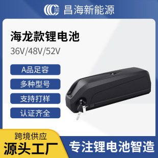 ����Ʒ�|����36V48V52V20AHɽ������܇���b����늄��늳س��p