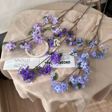 ��c���滨�������ļٻ��¿��O�����{��ɫ��Y·�������b���