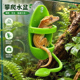 �䗫��������������ˮ������ʽ���x���ܽ޽��،m��B�����P�쾰��