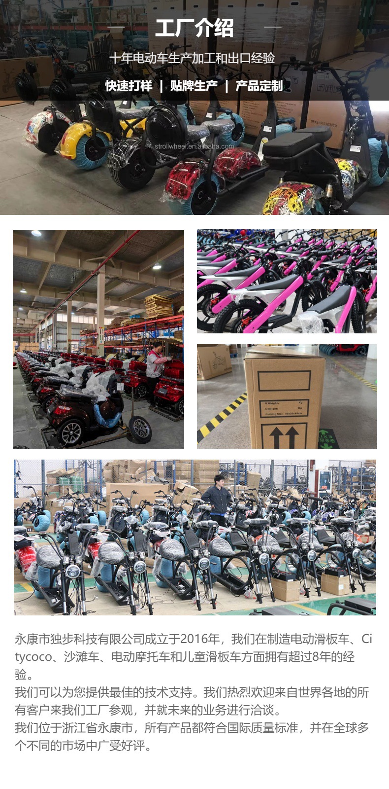 China Factory Dropshipping Cp-3 Three Wheel Harley Electric Motorcycle 2000W Balance Car Processing and Customization