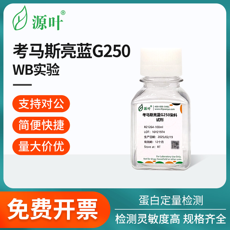 源叶考马斯亮蓝G250蛋白定量检测灵敏度高100/500mL科研实验室用