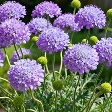 ���������{�軨���Ի���ͥԺ�҃���͏d�̨�ļ����ܺ��B�ͺ��͟�