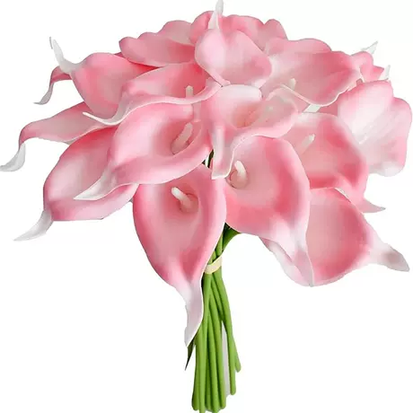 Light pink white heart