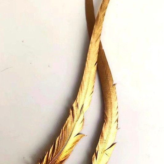 2024-06-12 14:37:11.jpg