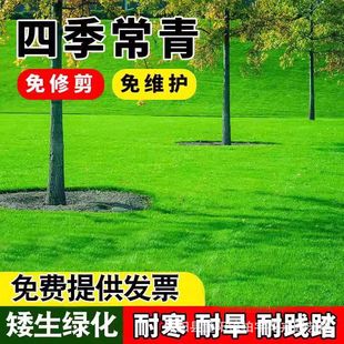 ��ƺ�N���ļ������ƺ�����ݹ����������ͥԺ�o�¾G����Ƥ�ݷN��