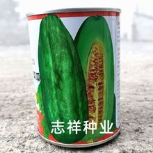 农之子青玉一号菜瓜种子金沙瓜种籽耐热香甜多汁水果种子绿瓤甜瓜