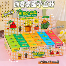 �W������NֲС����ä�Ѓ�ͯDIY�Gֲ�҃�����W�t�k���һ���ֲ��