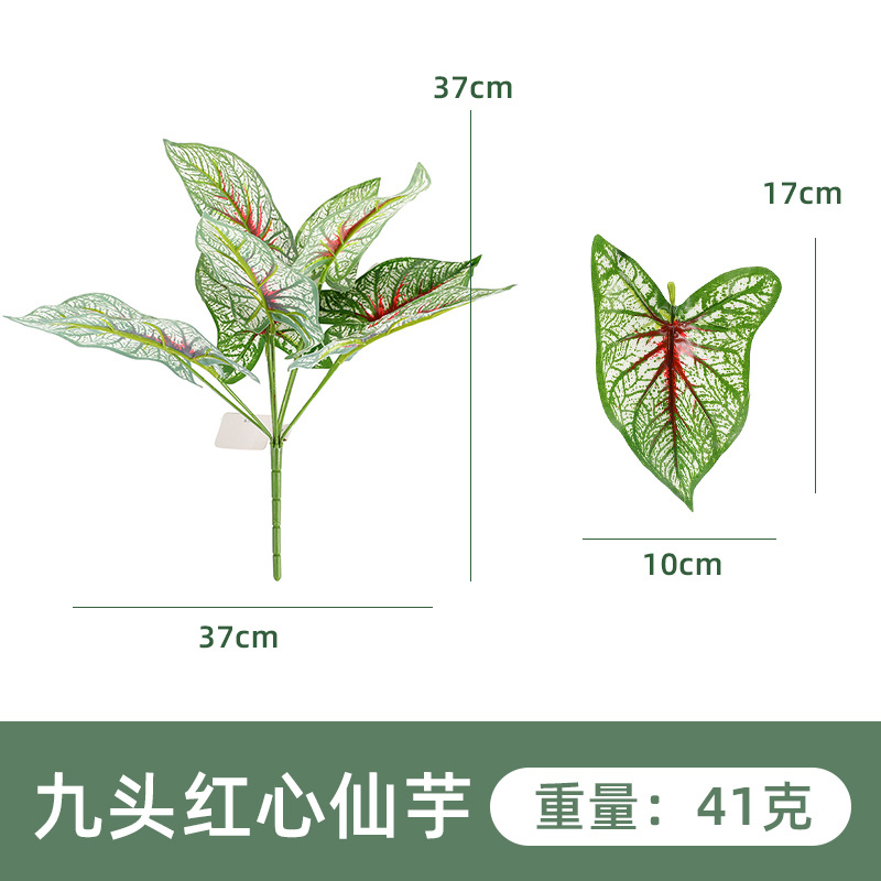 YH164-280-9 아홉 레드 하트 타로 2 #
