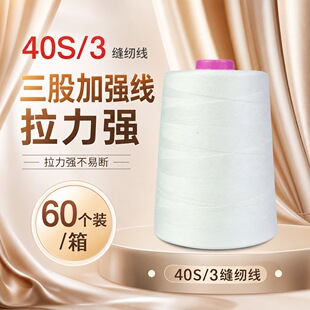 ��ߏS����40/3�p�x�����ɜ�]����ż��ˇ�p�x���ڰ׬F؛����r��