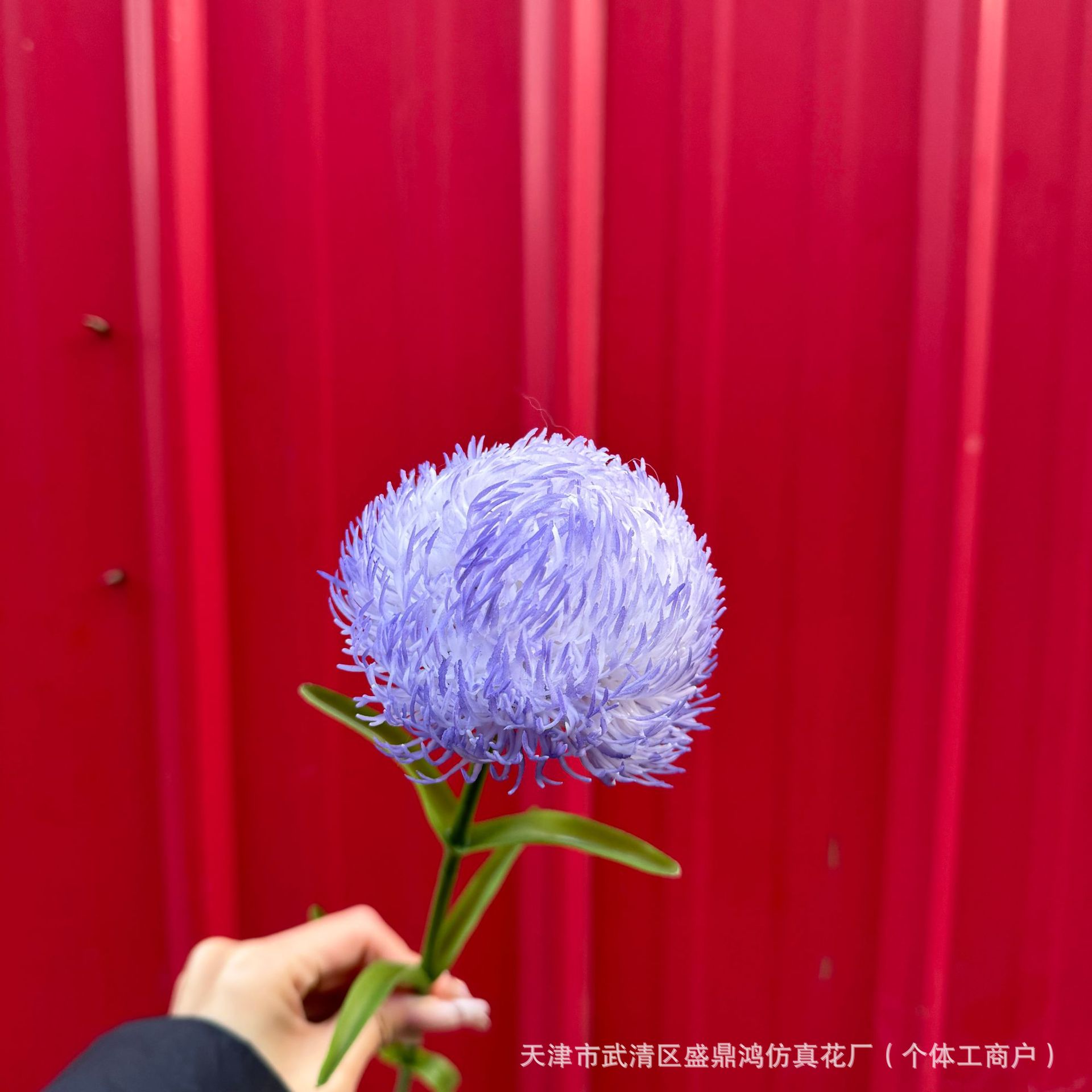 신선한 보라색