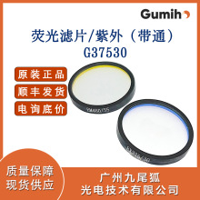 ��β��ӫ����Ƭ/���⣨��ͨ��G37530