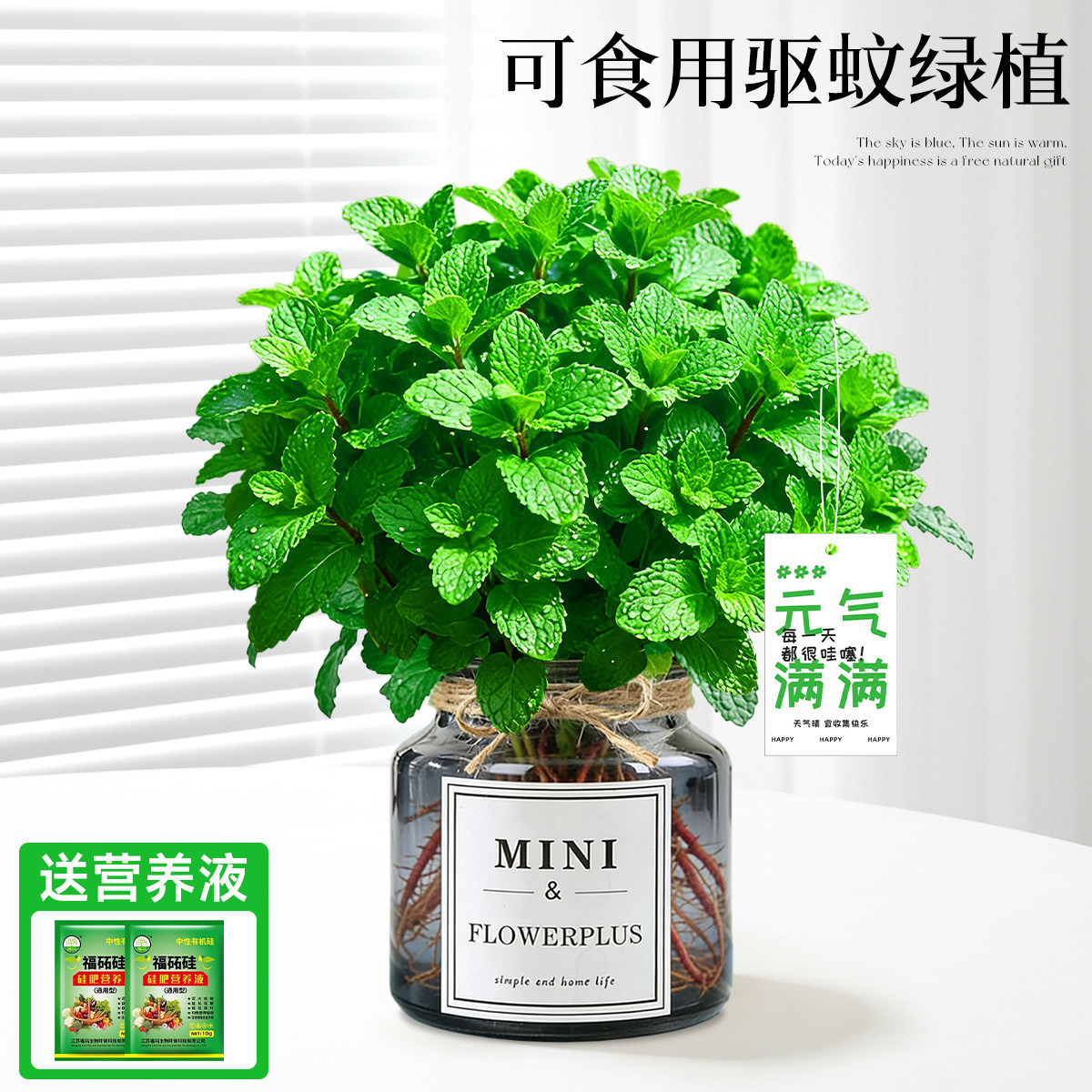 With simple planting pot