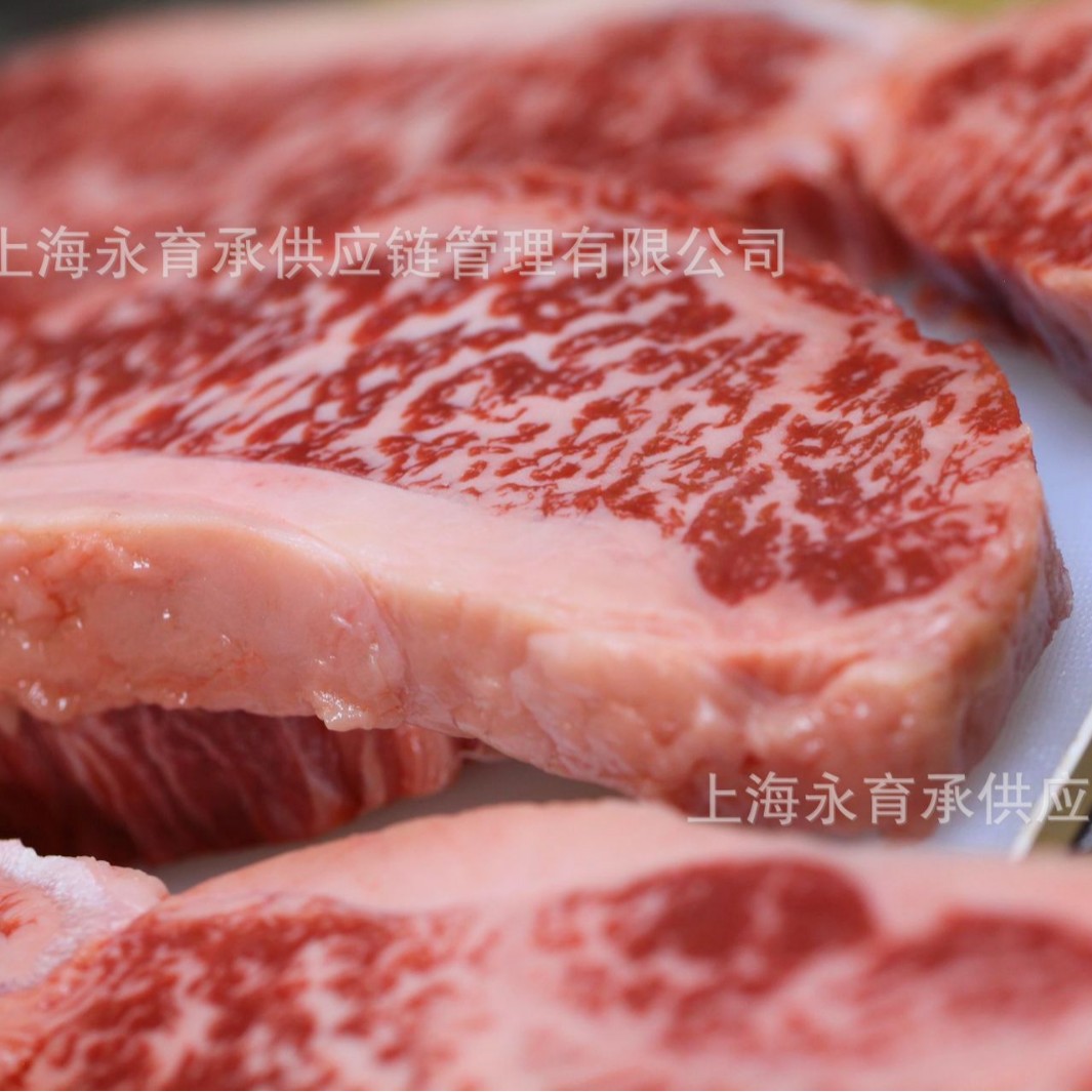 冰鲜澳洲203厂金凤凰M6-7西冷牛肉西餐牛排批发