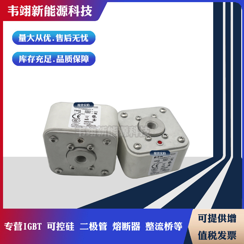 巴斯曼进口熔断器170M6238 170M6239 170M6240 170M6241 170M6242