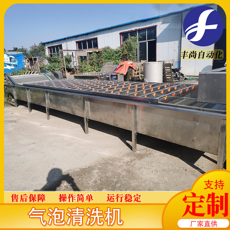 供应苦菜气泡清洗机设备 气泡喷淋式清洗机设备 果蔬清洗机设备