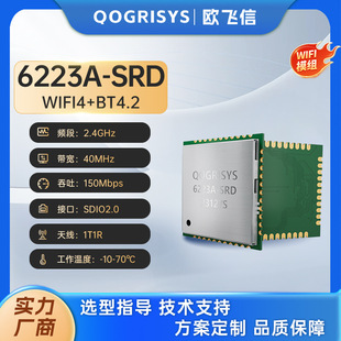 �͹���WiFi�{������һ RTL8723DS SDIO�ӿ� 2.4G�o����������ģ�K
