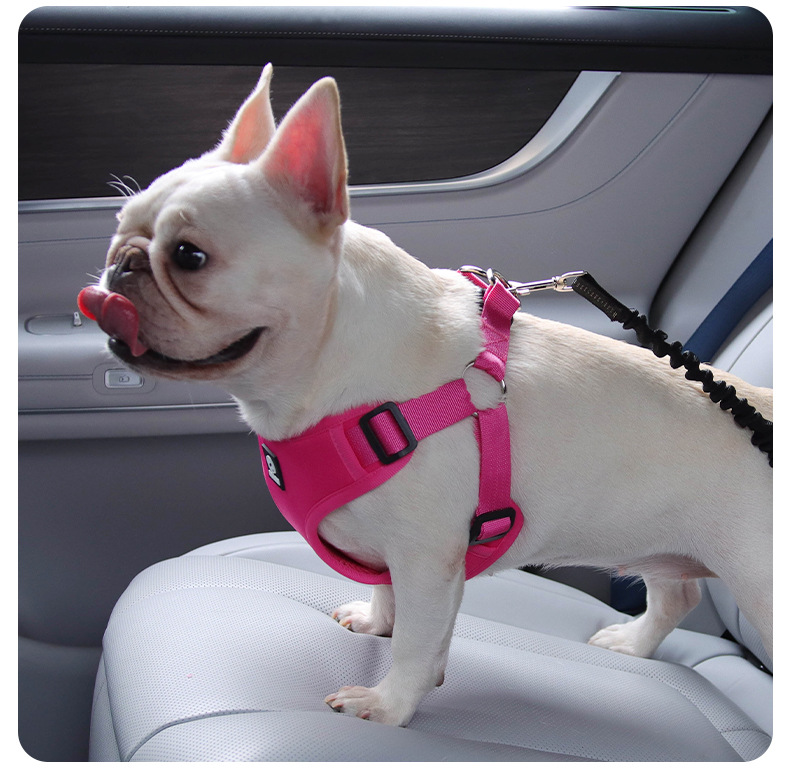 Bequemer Anti-rutsch-sicherheitsgurt Für Hunde Im Auto_voghion.com