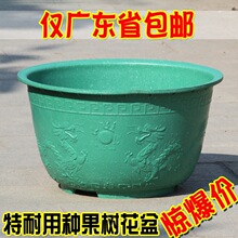 �Ӻ��ش�����ϻ�����̨ͥԺ���������߲��������ؼ�����������