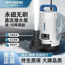 潜水泵12V24V48V家用抽水泵机高扬程大流量农用灌溉可接电瓶车