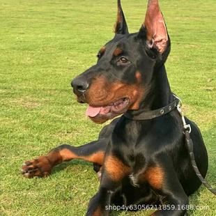 ���N���eȮ���w��Ȯ�o�lȮѪ�y��ϵ���eȮ�����oԺ����Ȯ�������l