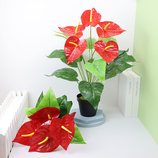 ���滨�ߙn�^�z�~18�^��t�ƾGֲ����ֲ��Ҿӿ͏d�҃��b��辰