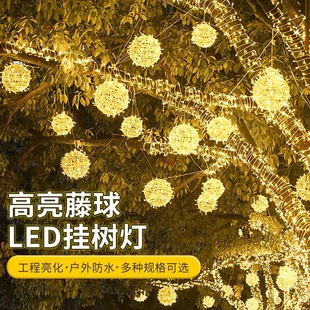 ����LED�b����A����l�������⾰�^����A��������չ��@