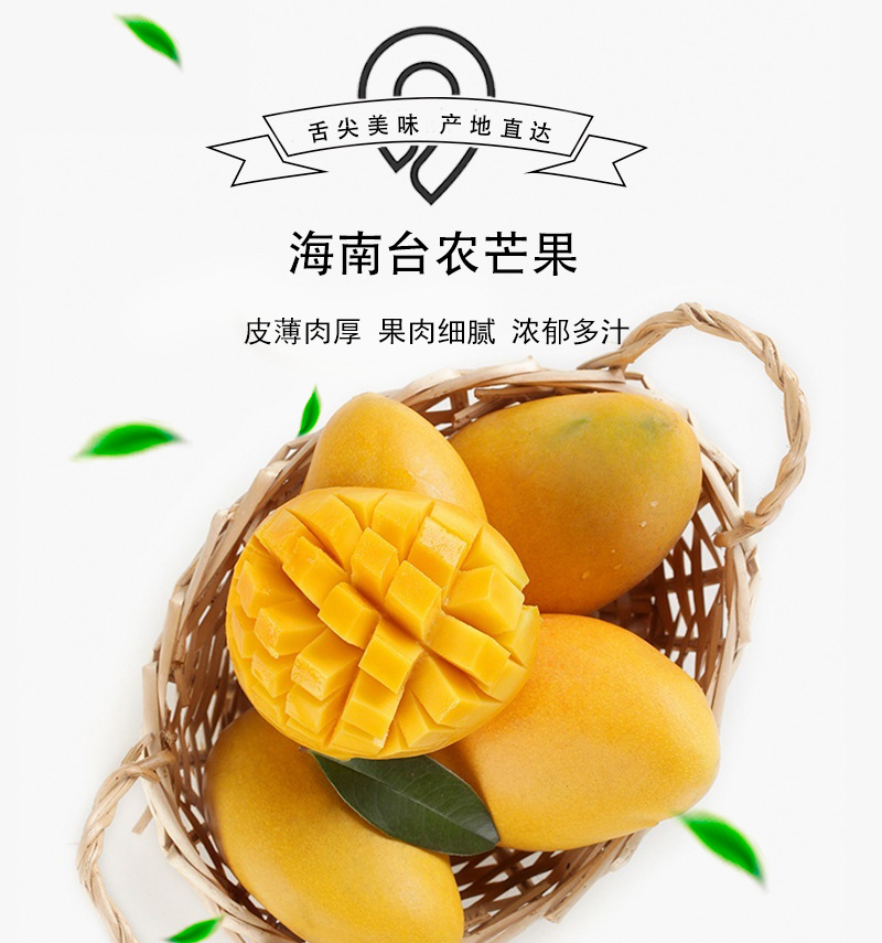 芒果123_01.jpg