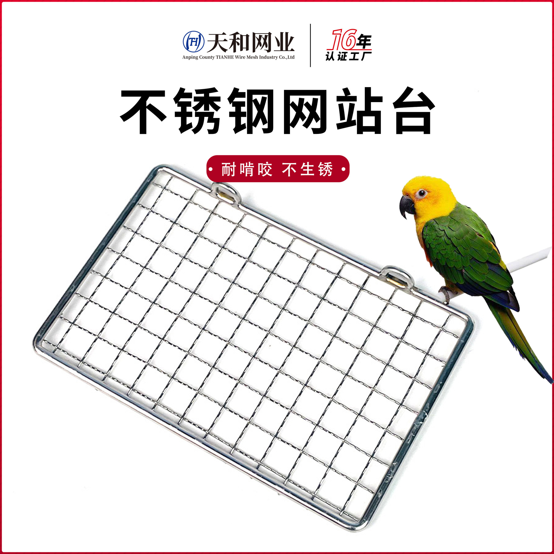 鹦鹉不锈钢站台网休息互动跳板虎皮玄风小宠玩耍栖息网架鸟笼配件