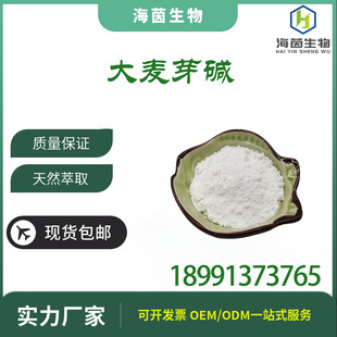 ����ѿ�|98% ����ѿ��ȡ�� ��ѿ�| ����ѿ�� ������ �F؛�������]