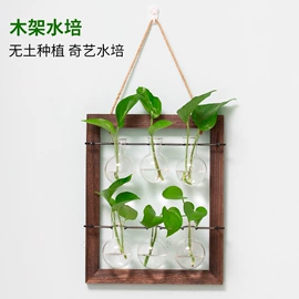 玻璃工艺品;装饰花瓶;水培植物瓶