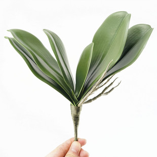 PU��������m�~���ָ��m���~��c�Ҿ��b廨��ֲ�����ԾGֲ���