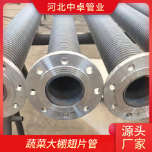 廠家供應多規格蔬菜溫室大棚專用直徑219翅片管熱鍍鋅法蘭散熱器