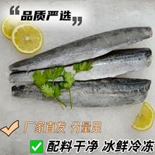新鲜速冻鲅鱼 马鲛鱼片 速冻锁鲜 源头厂家直发 东海船冻生鲜