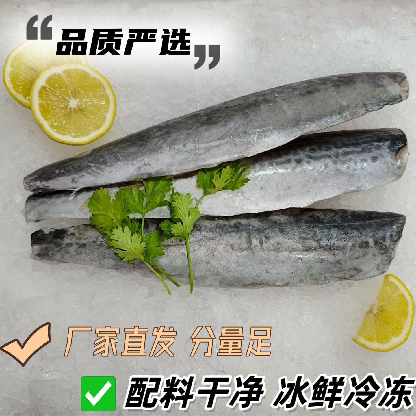 新鲜速冻鲅鱼 马鲛鱼片 速冻锁鲜 源头厂家直发 东海船冻生鲜