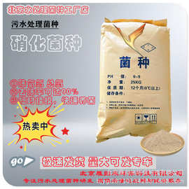 硝化细菌 好氧菌 微生物菌剂水产养殖污水处理 反硝化细菌